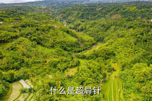 射頻超導(dǎo)腔是什么，什么是超導(dǎo)針