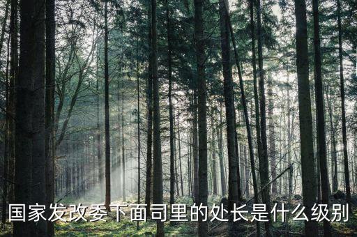 央企處長是什么級別，央企比如移動 電信 聯(lián)通 中石油石化 這些企業(yè)縣的老總是什么級別