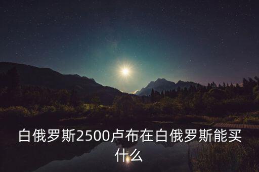 白俄羅斯盧布50可以買什么，白俄羅斯2500盧布在白俄羅斯能買什么