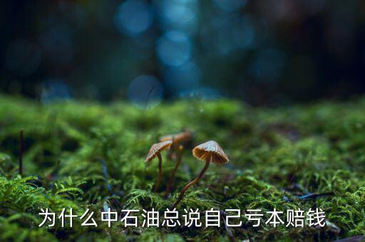 中石油為什么虧損，中石油為什么虧損慘重