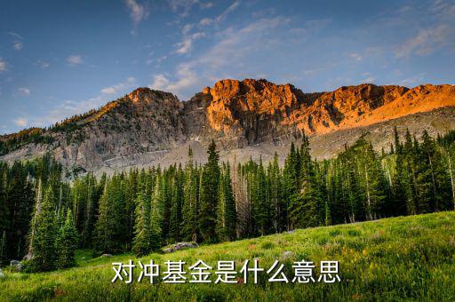 什么是對沖基金，什么是對沖基金對沖基金指的是什么