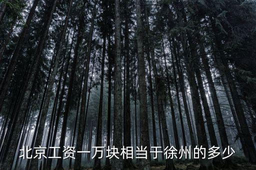 北京月薪1萬什么概念，在北京月薪1萬算高嗎