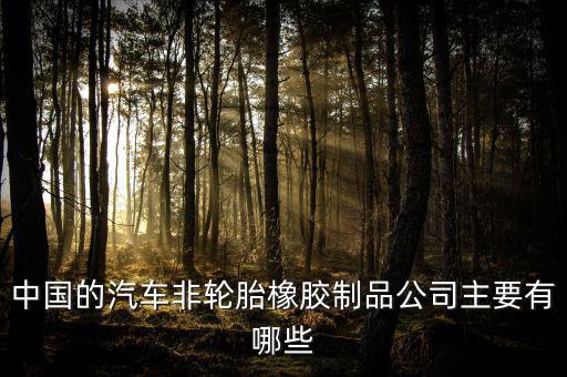 中國(guó)的汽車(chē)非輪胎橡膠制品公司主要有哪些