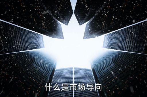 什么叫市場導(dǎo)向機(jī)制，什么是市場導(dǎo)向
