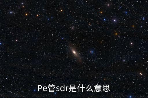 sdr是什么意思，sdr范丞丞wzr什么意思
