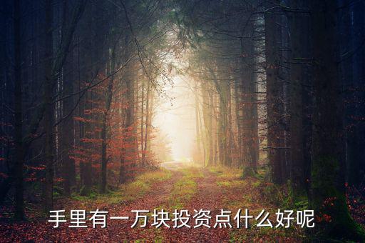 一萬(wàn)元做什么投資，1萬(wàn)元?jiǎng)?chuàng)業(yè)投資干什么好