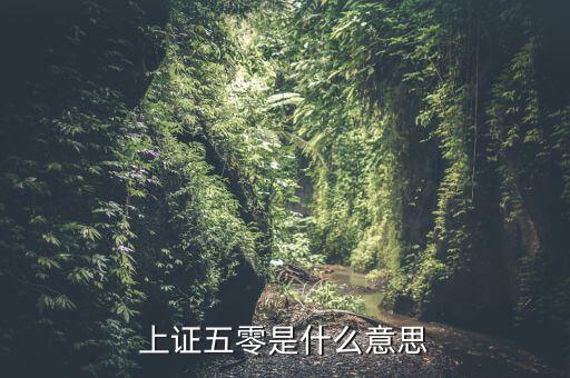 上證50是什么意思，上證50是什么意思還有什么800什么的