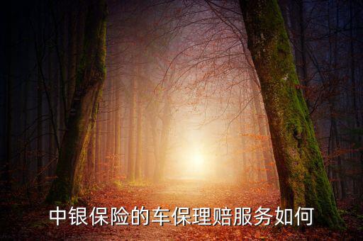 中銀保險車險vip客戶有什么權(quán)利，中銀保險的車保理賠服務如何