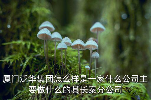 廈門泛華集團(tuán)怎么樣是一家什么公司主要做什么的其長(zhǎng)泰分公司