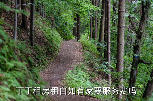丁丁租房都收取什么費(fèi)用，丁丁租琴的費(fèi)用怎么算
