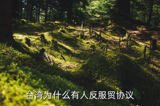 臺(tái)灣為什么反對(duì)服貿(mào)協(xié)定，臺(tái)灣為什么反對(duì)服貿(mào)協(xié)定