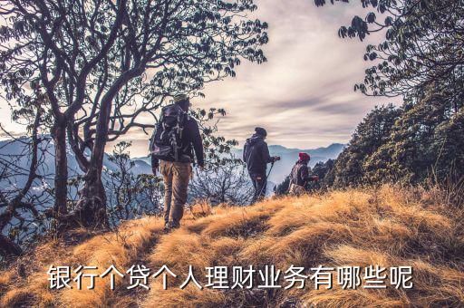 銀行個貸個人理財(cái)業(yè)務(wù)有哪些呢