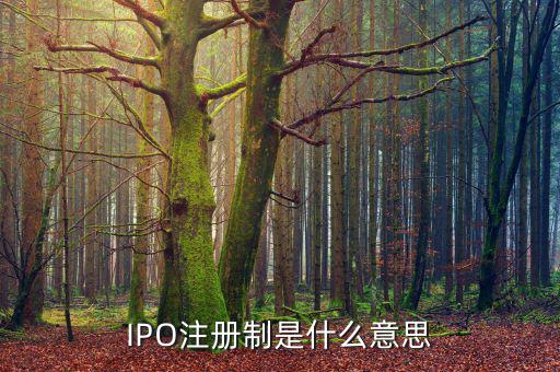 ipo注冊制是什么意思，IPO注冊制是什么意思和審批制有什么區(qū)別