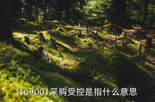 采購(gòu)流程的雙控體系是什么意思，iso9001采購(gòu)受控是指什么意思