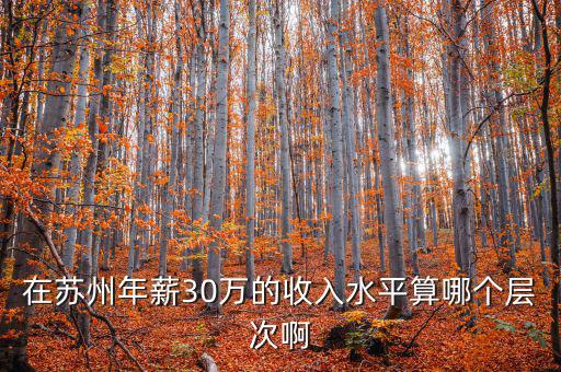 年薪三十萬元處于什么階層，在蘇州年薪30萬的收入水平算哪個(gè)層次啊