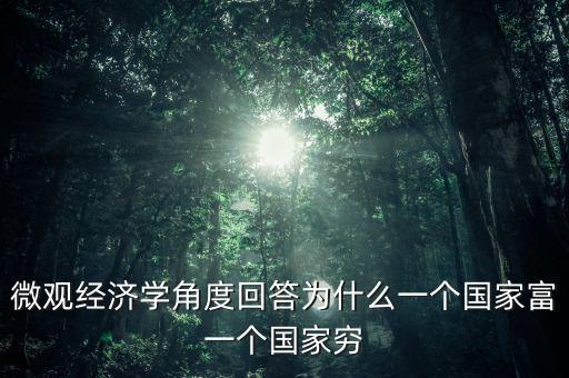 微觀經(jīng)濟學角度回答為什么一個國家富一個國家窮