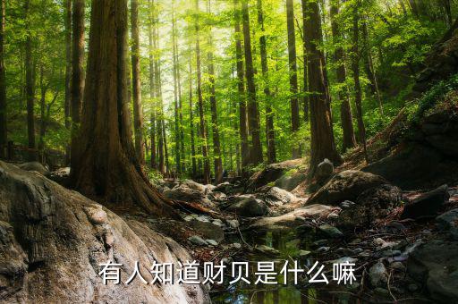 財(cái)嘉寶是什么，有誰(shuí)用過(guò)財(cái)嘉寶這種平臺(tái)可信嗎