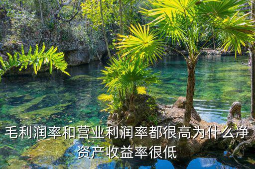 資產(chǎn)凈利率較低是為什么，為什么利潤率高資產(chǎn)收益率卻低