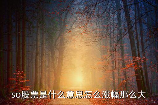 so股票是什么意思，股市上so開(kāi)頭的是什么意思