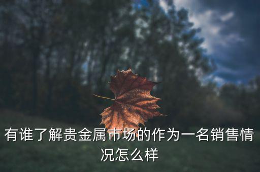 貴金屬公司為什么泛濫，有誰了解貴金屬市場的作為一名銷售情況怎么樣
