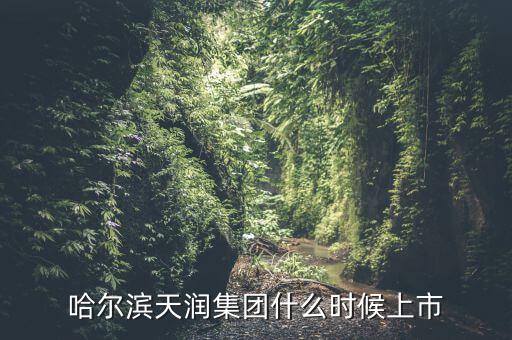 天潤乳業(yè)什么時候上市，哈爾濱天潤集團什么時候上市