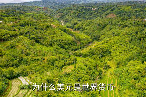 美元為什么是世界貨幣，為什么美元是世界貨幣