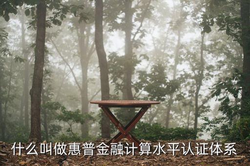 惠普金融是什么，普惠金融是什么意思