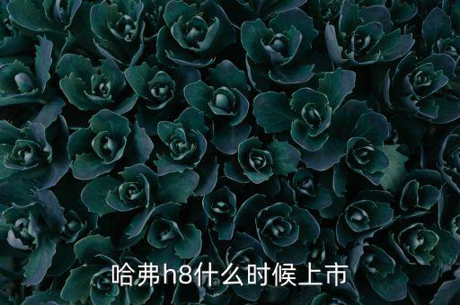哈佛h8什么時(shí)候上市的，哈弗h8什么時(shí)候上市