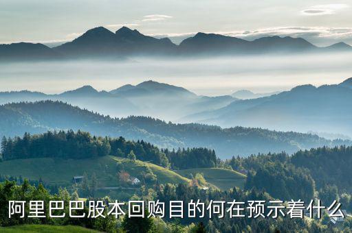 阿里巴巴為什么要回購雅虎股份，阿里巴巴為什么上市了又要退市還非要回購雅虎的股票這有什么用