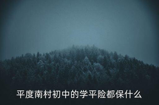 平度南村初中的學(xué)平險都保什么