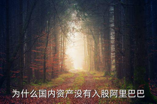 當初為什么沒投阿里巴巴，為什么國內資產(chǎn)沒有入股阿里巴巴