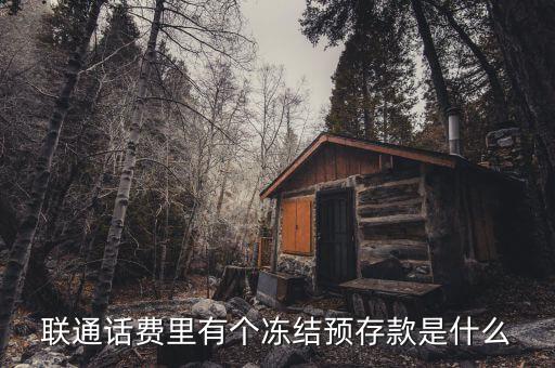 凍結預存款是什么意思，聯(lián)通話費里有個凍結預存款是什么