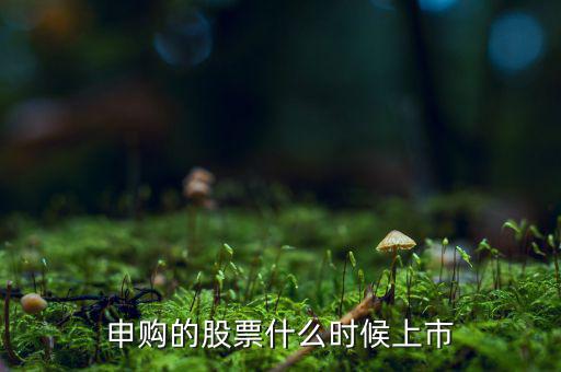 四方申購什么時候上市，申購的新股什么時候上市交易