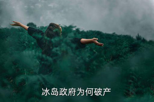 冰島為什么破產(chǎn)，冰島政府為何破產(chǎn)