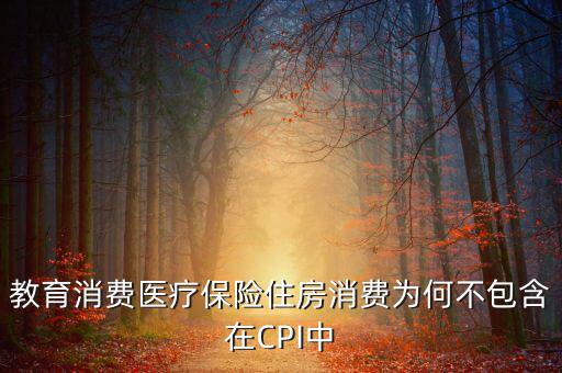 房價為什么不納入cpi，為什么在中國房價不算入CPI消費水平也就是物價里面