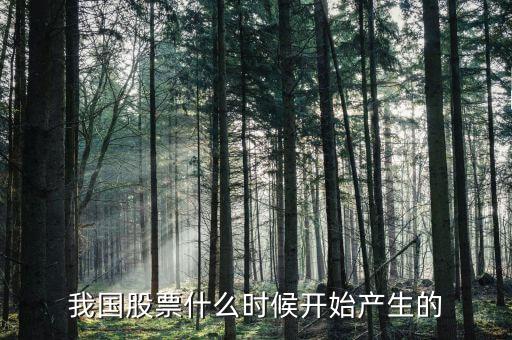 股票什么時(shí)候出來(lái)的，股票是什么時(shí)候出現(xiàn)的從世界范圍看
