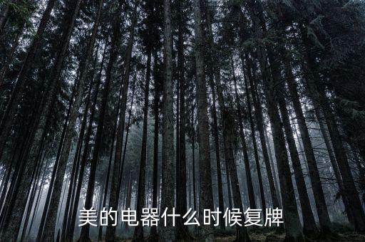 美的什么時候復牌，美的電器何時復牌