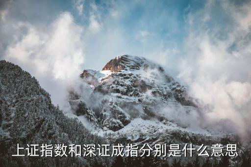 深成指b是什么，深證成指 中的成份A指和成份B指的區(qū)別求高手回答