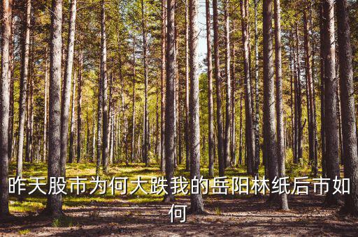 岳陽林紙為什么停牌，誰能告訴我這是怎么回事是停牌了嗎