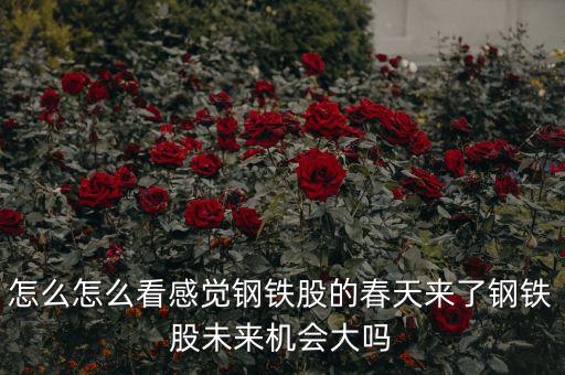 包鋼集團是什么性質，中國包頭大企業(yè)都有哪些什么性質