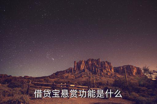 借貸寶追賞是什么意思，追賞是什么意思