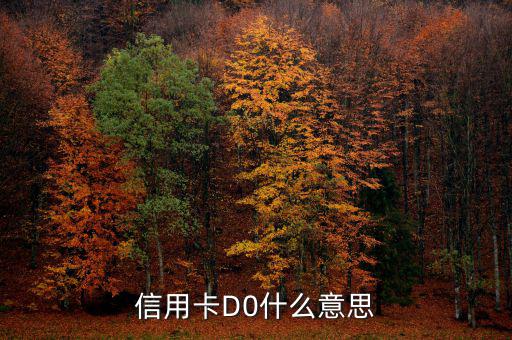 預(yù)付卡的贖回是什么意思，信用卡D0什么意思