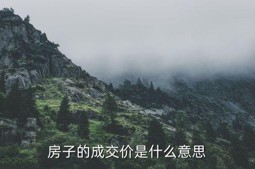 房價款是什么，房子的成交價是什么意思