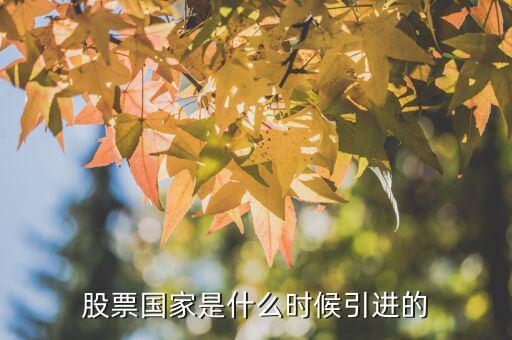 股票什么時(shí)候引進(jìn)的，股票國(guó)家是什么時(shí)候引進(jìn)的