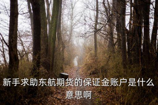 金保證財富管理和東航什么關系，國鼎旗下的可溯貸資金安全嗎