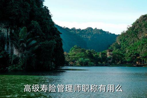 保險高管證有什么用，朋友讓我?guī)退急ｋU高管證說考過了我就是他公司的法人這兩個