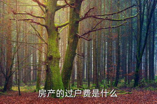 什么是過戶費(fèi)，房產(chǎn)的過戶費(fèi)是什么