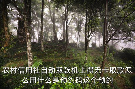 農(nóng)行預(yù)約碼是什么，農(nóng)商銀行預(yù)約取款預(yù)約碼是什么