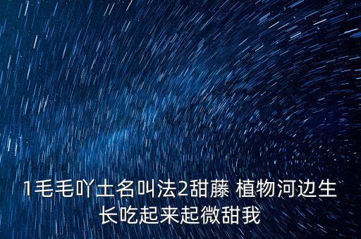 安徽有個什么林紙業(yè)，坐幾路公交車去安徽華泰林漿紙有限公司