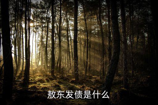 東方發(fā)債是什么，東方配債是甚么意思